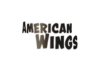 American Wings